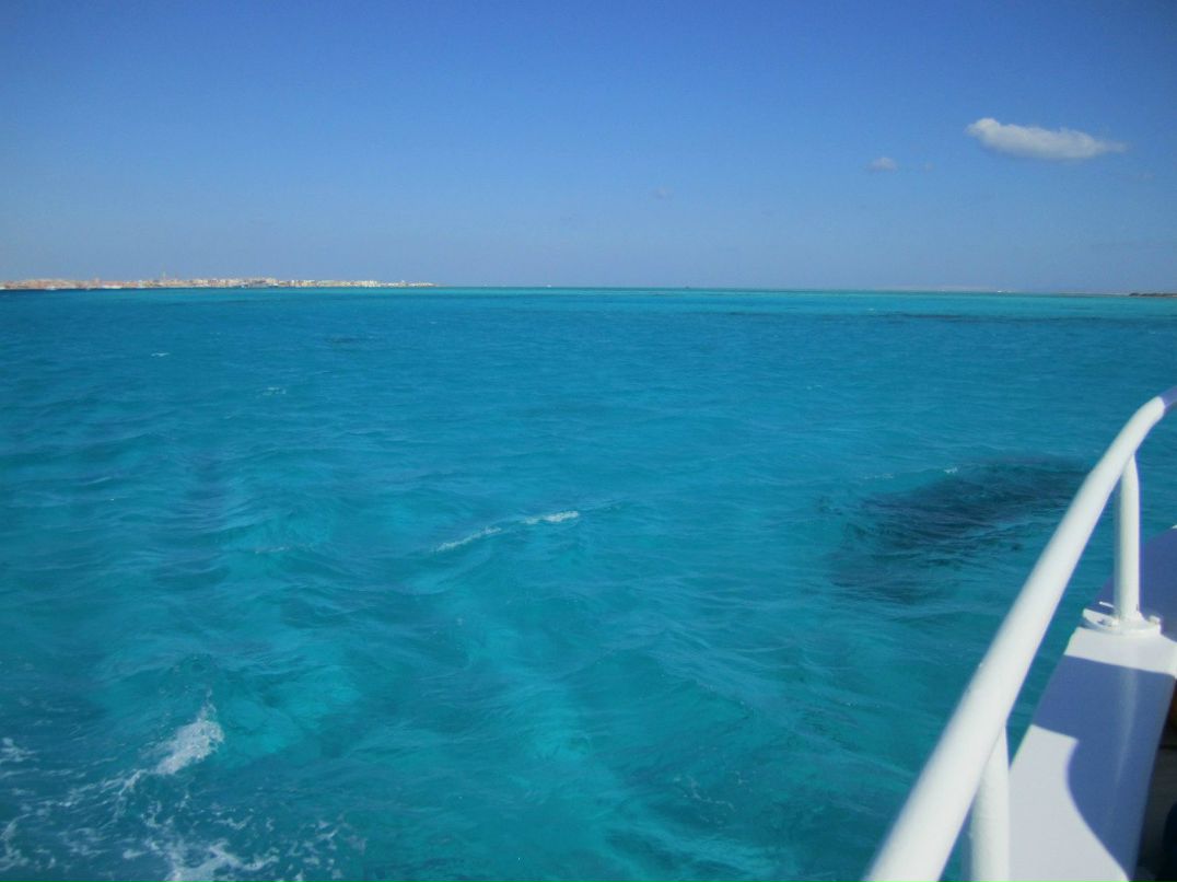 Константин Беляев фотография #35