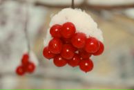 Дарья Базанова фотография #22 (источник - https://vk.com/id8874885)