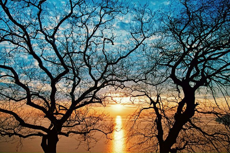 Наталья Матус фотография #33