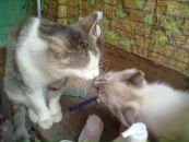Катя Кузьмічук фотография #29 (источник - https://vk.com/id111079788)
