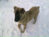 Женя Тимофійчук фотография #34 (источник - https://vk.com/id89248889)