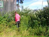 Фотография  