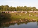 Андрій Зелінка фотография #42 (источник - https://vk.com/id12105296)