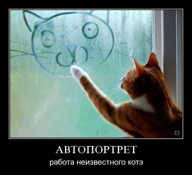 Станислав Сергеевич фотография #48