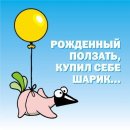 Sorry Delt фотография #11 (источник - https://vk.com/id4030746)