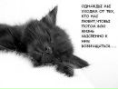 Я Я+ти фотография #16 (источник - https://vk.com/id161986917)