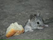 Фотография Пуниной Елизаветы