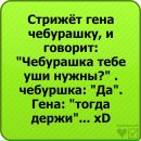 Фотография Анастасия Шепелина