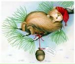 Ірина Стецюк фотография #44 (источник - https://vk.com/id6244582)