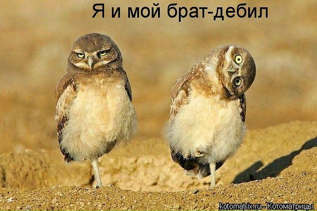 Ksusha Shevchenko фото №41