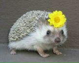 Фотография Евстифеева Сергея