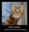 Олексій Строкань фотография #12 (источник - https://vk.com/id9613472)