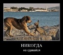 Фотография Ворониной Людмилы