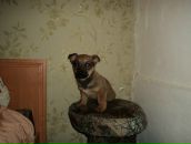 Валентин Філоненко фотография #20 (источник - https://vk.com/id112401643)