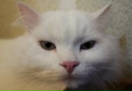 Фотография Алешкина Андрея