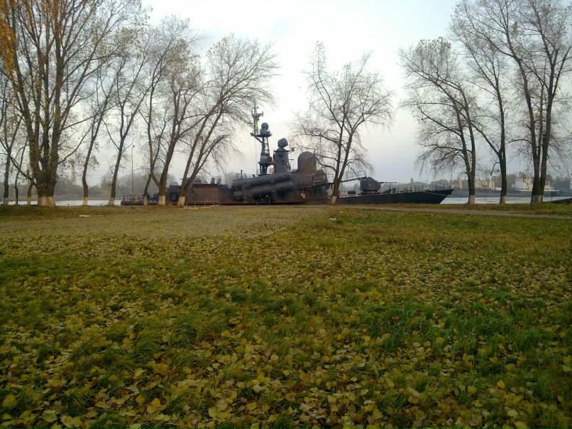 Вася Палкин фотография #7