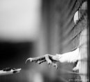 Міша Костик фотография #22 (источник - https://vk.com/id15137294)