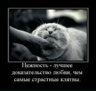 Ксенія Єленчук фотография #33 (источник - https://vk.com/id15597131)