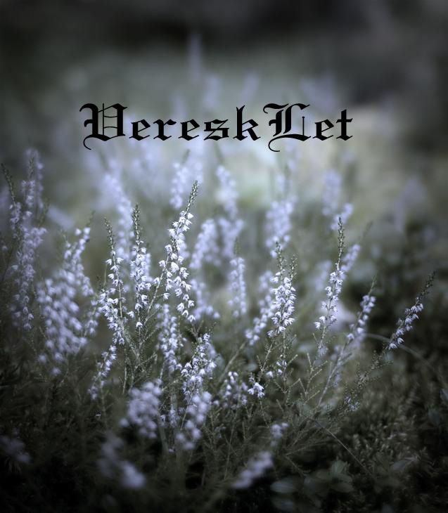 Дмитрий Осадчий фотография #11