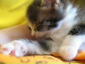 Фотография Жербиной Анны