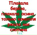 Міша Слющинський фотография #13 (источник - https://vk.com/id247415811)