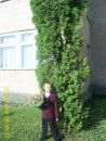 Вікторія Камлочук фотография #1