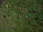 Вітя Данищук фотография #18 (источник - https://vk.com/id89827363)