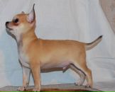 Фотография Щербаковой Анны