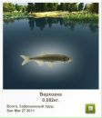 Андрій Закриничний фотография #7 (источник - https://vk.com/id114537683)