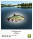 Іван Гнідець фотография #15 (источник - https://vk.com/id113923451)