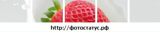 Світлана Дмитрук фотография #38 (источник - https://vk.com/id70807563)