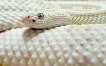 Фотография Губановой Дарьи