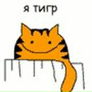 Фотография Danilova Maria