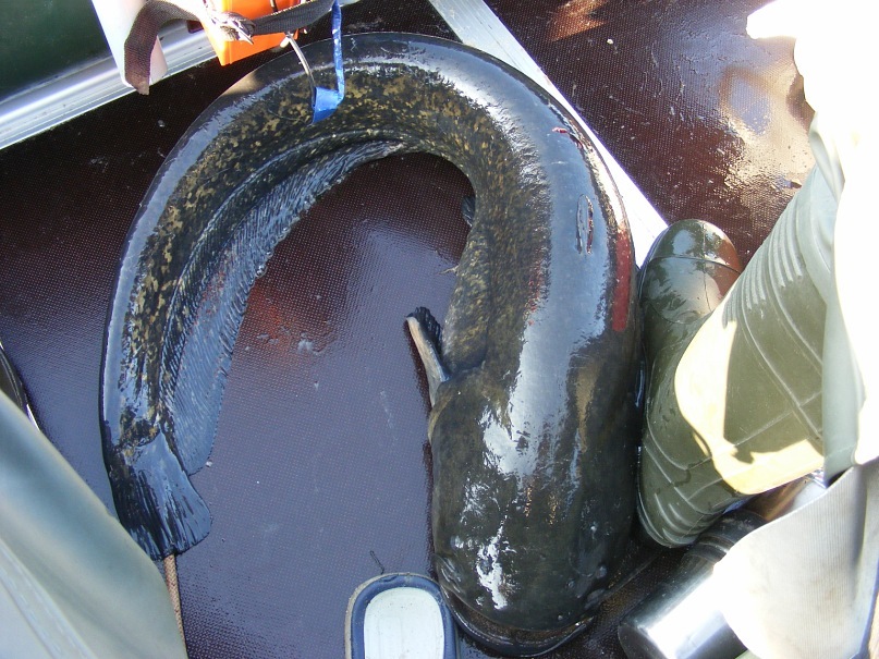 Константин Коваленко фотография #12