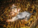 Εвдокия Κовалева фотография #11 (источник - https://vk.com/id139275877)