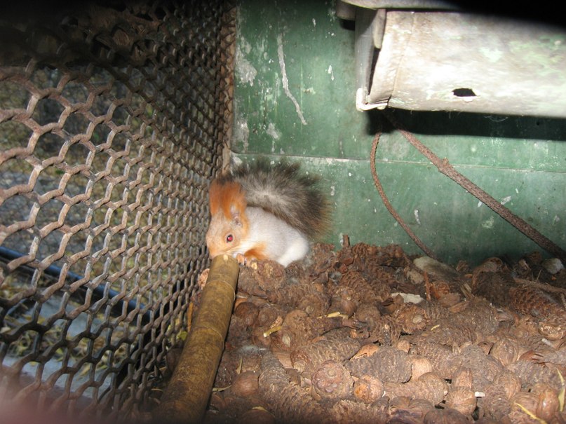 Коля Приходько фотография #6