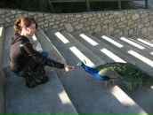 Фотография Гром Дарьи