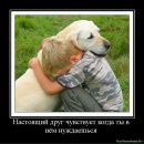 Фотография Крылова Дмитрия