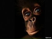 Фотография Кирилиной Марии