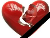 Фотография Сорокина Михаила