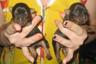 Фотография Малышевой Татьяны