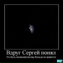 Фотография Калмыков Дмитрий