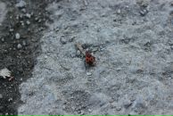 Юлія Квасневська фотография #15 (источник - https://vk.com/id20213599)