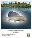 Василий Мыс фотография #48 (источник - https://vk.com/id31481818)