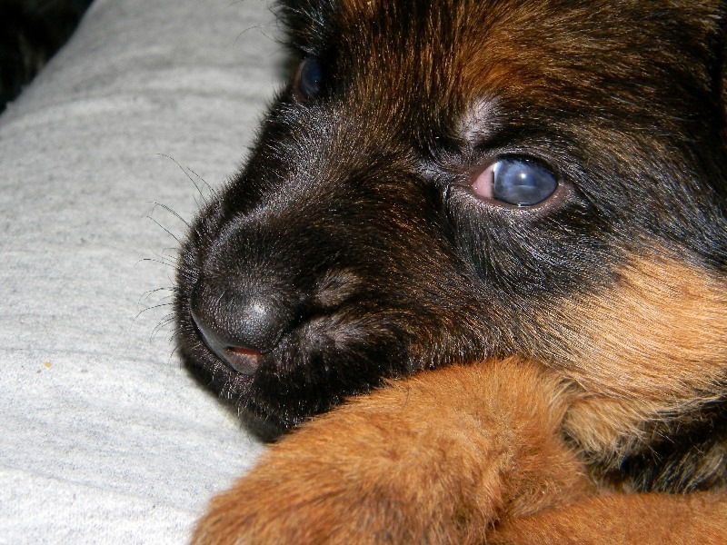 Виктор Диденко фотография #1