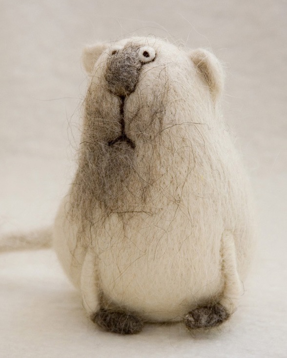 Антон Кириченко фотография #22