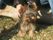 Владлєна Козачок фотография #46 (источник - https://vk.com/id98642620)