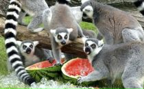 Андрій Горінець фотография #21 (источник - https://vk.com/id30203235)