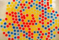 Фотография Тереховой Екатерины