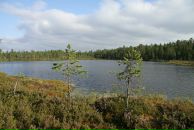 Фотография Мартьянова Андрея